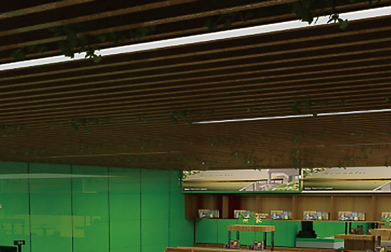 LG05BN LED BATTEN FITITING
